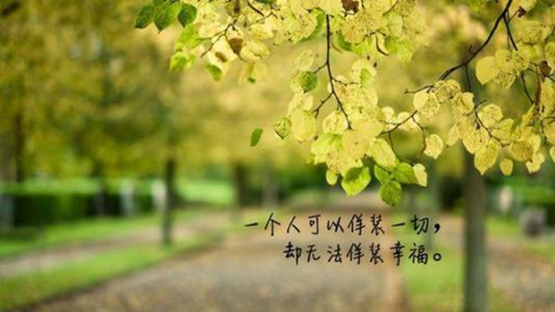 霸气高冷情话短句