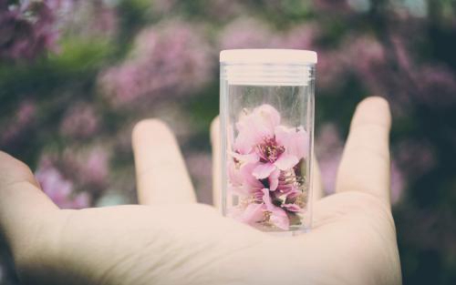 土味情话 季节