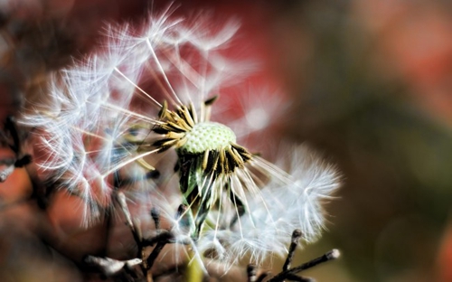 悲伤的中秋节句子