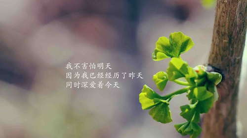 小众高级文案情话