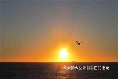 精选25条温柔的七夕表白话